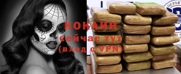 ГАЛЛЮЦИНОГЕННЫЕ ГРИБЫ Болхов