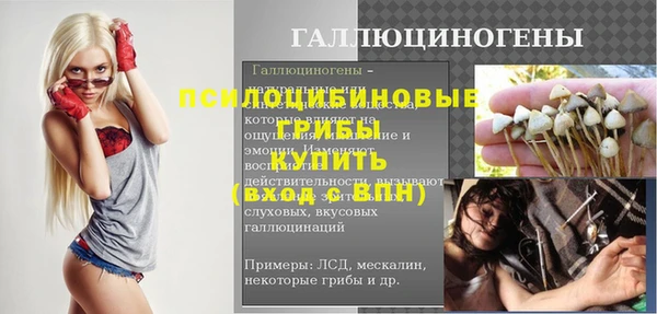 герыч Великий Новгород