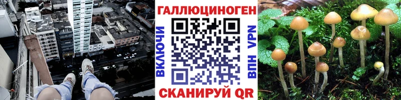Псилоцибиновые грибы мухоморы  darknet состав  Андреаполь 