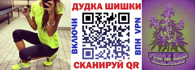 Канабис план  купить   кракен рабочий сайт  Андреаполь 